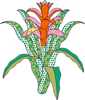 Flor