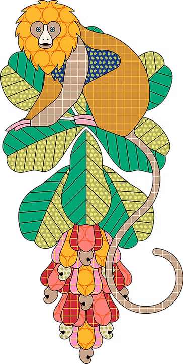 Macaco