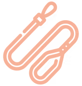 Ícone de Passeio