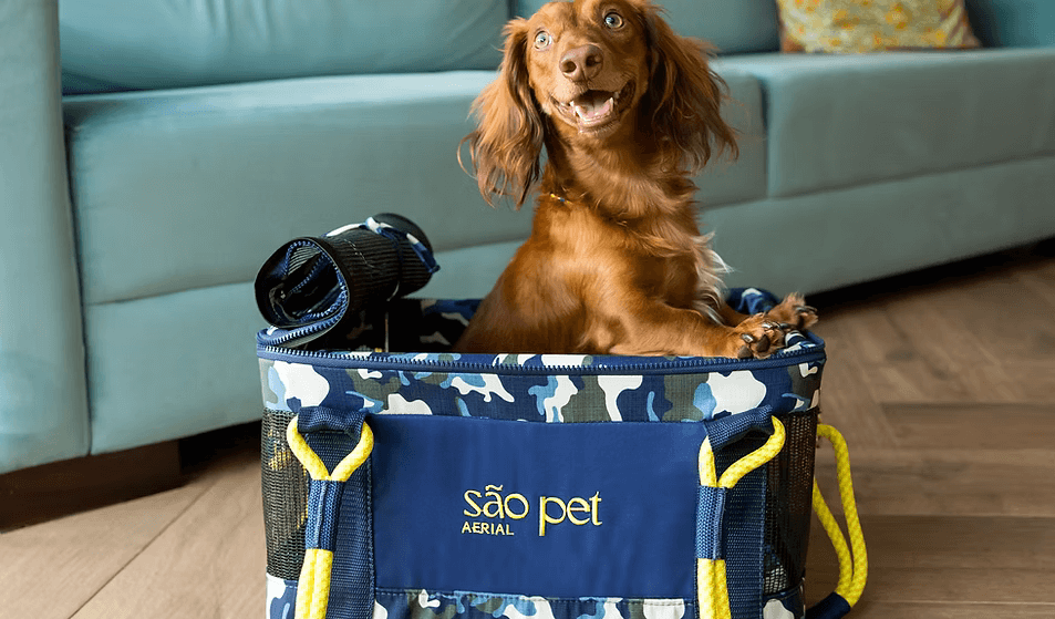 Cachorro em uma bolsa de viagem da São Pet