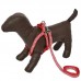 ROUPA CAPUZ ADIDOG TAM GG 34CM ANIMALISS
