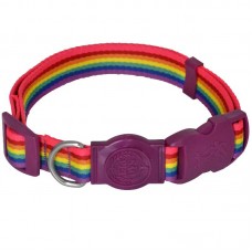 410G-20 - COLEIRA COLORS G 2,5X45-70CM