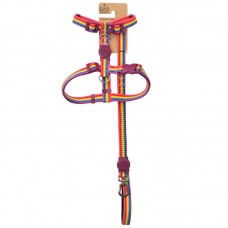 K430P-20 - KIT PEITORAL H E GUIA COLORS P 