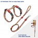 KIT PEIT H GATOS FREVO 24-38X32-53X1 CM
