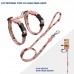 KIT PEIT H MINI PARIS 20-34X23-38X1CM