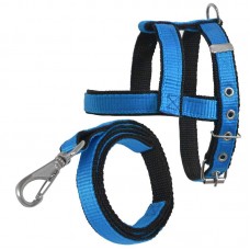 7405-2 - PEIT/GUIA CAD DUPL N5 AZ 56-67X3X0,3CM